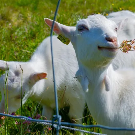 Nyaraló Charming Near Jotunheimen Trails *